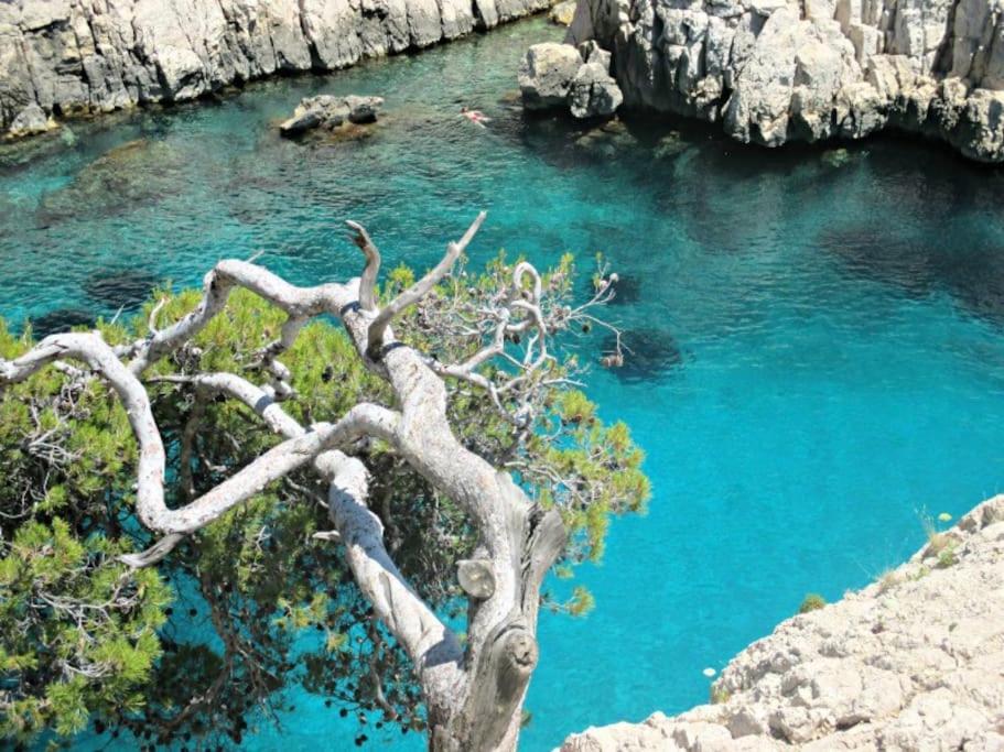 T4 Renove, Clim, Internet & Netflix, Tout Confort Marseille Bagian luar foto